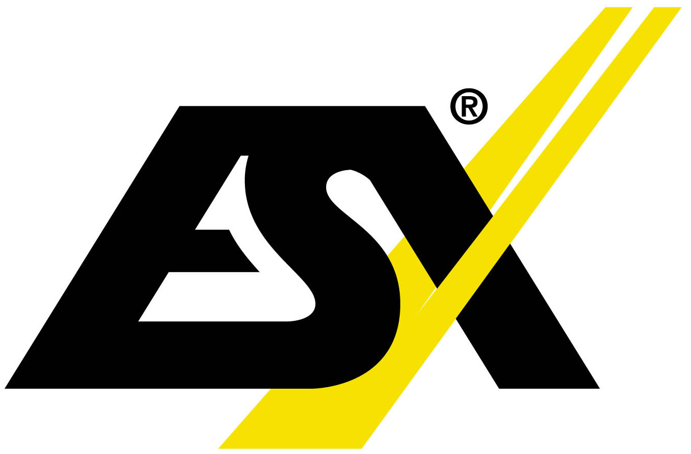 ESX 